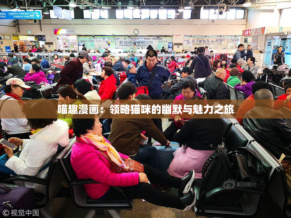 喵趣漫画：领略猫咪的幽默与魅力之旅