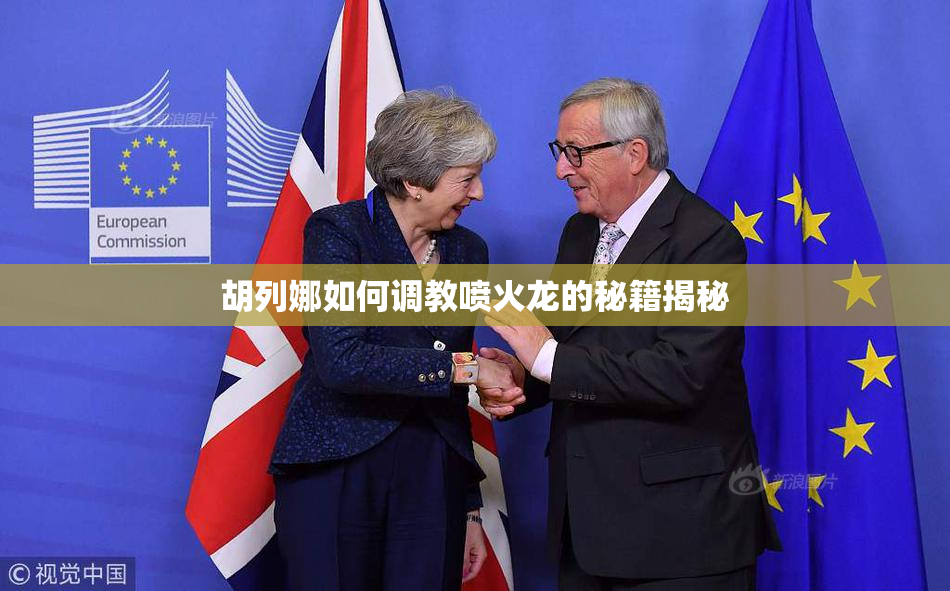 胡列娜如何调教喷火龙的秘籍揭秘