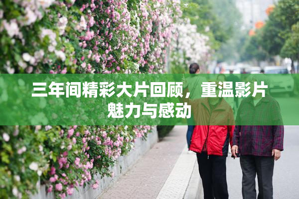 三年间精彩大片回顾，重温影片魅力与感动