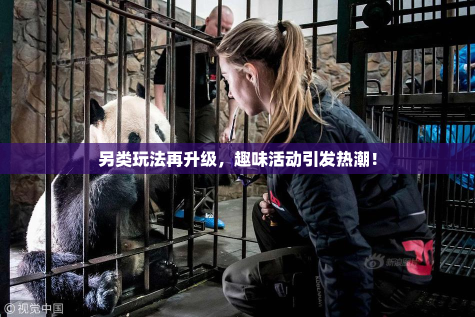 另类玩法再升级，趣味活动引发热潮！