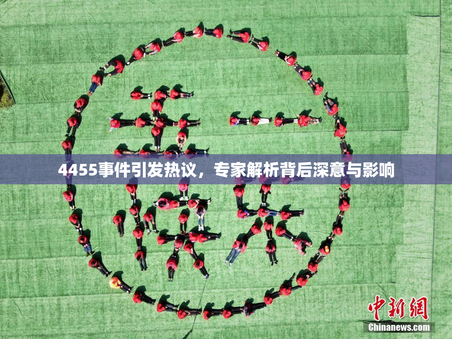 4455事件引发热议，专家解析背后深意与影响