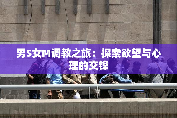 男S女M调教之旅：探索欲望与心理的交锋