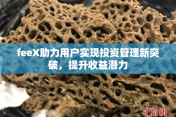 feeX助力用户实现投资管理新突破，提升收益潜力