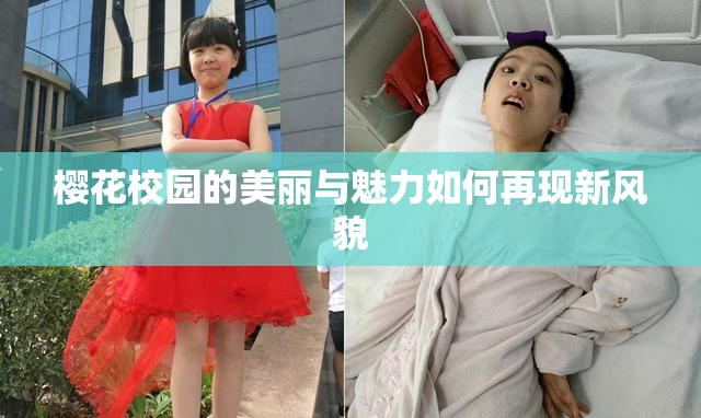樱花校园的美丽与魅力如何再现新风貌