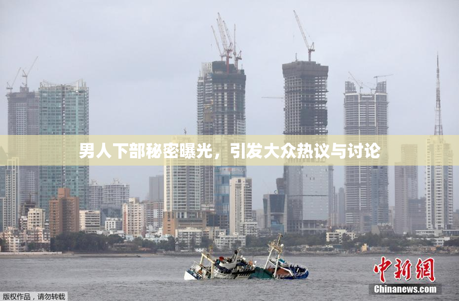 男人下部秘密曝光，引发大众热议与讨论