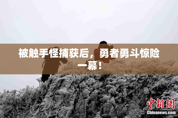 被触手怪捕获后，勇者勇斗惊险一幕！