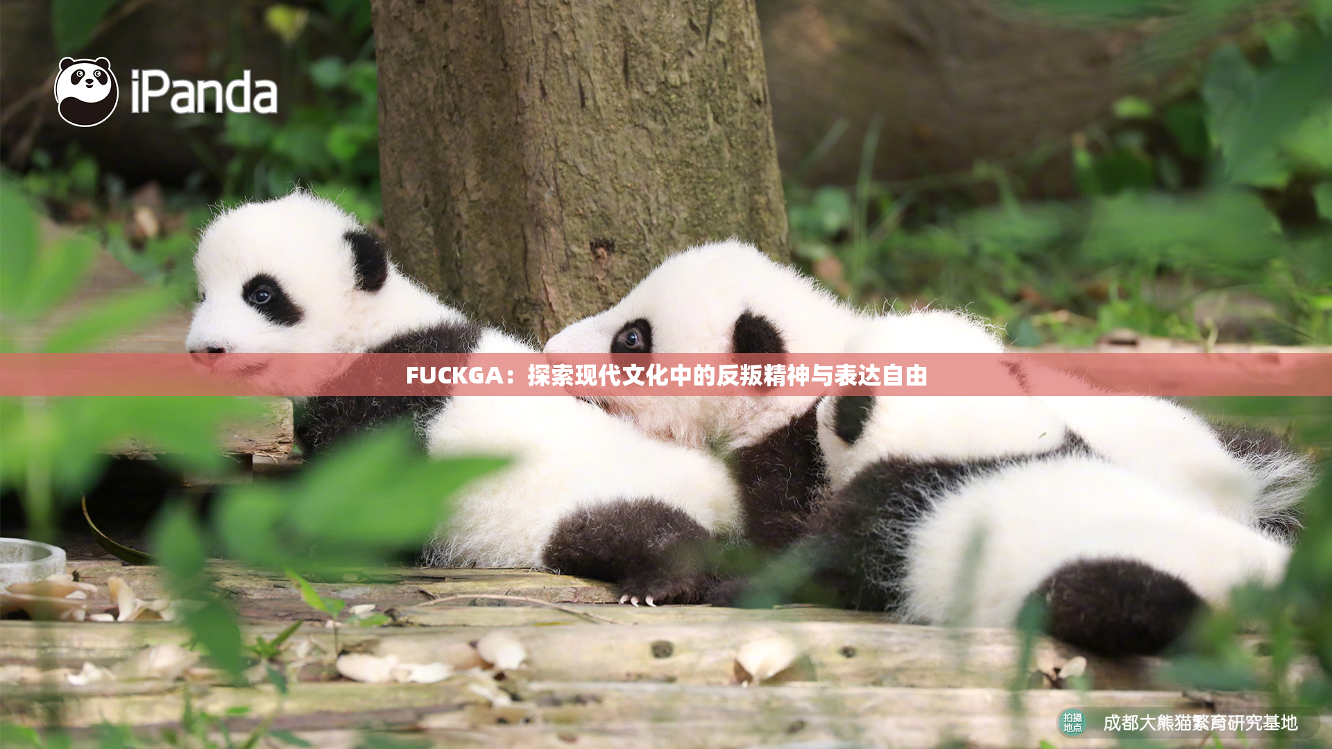 FUCKGA：探索现代文化中的反叛精神与表达自由