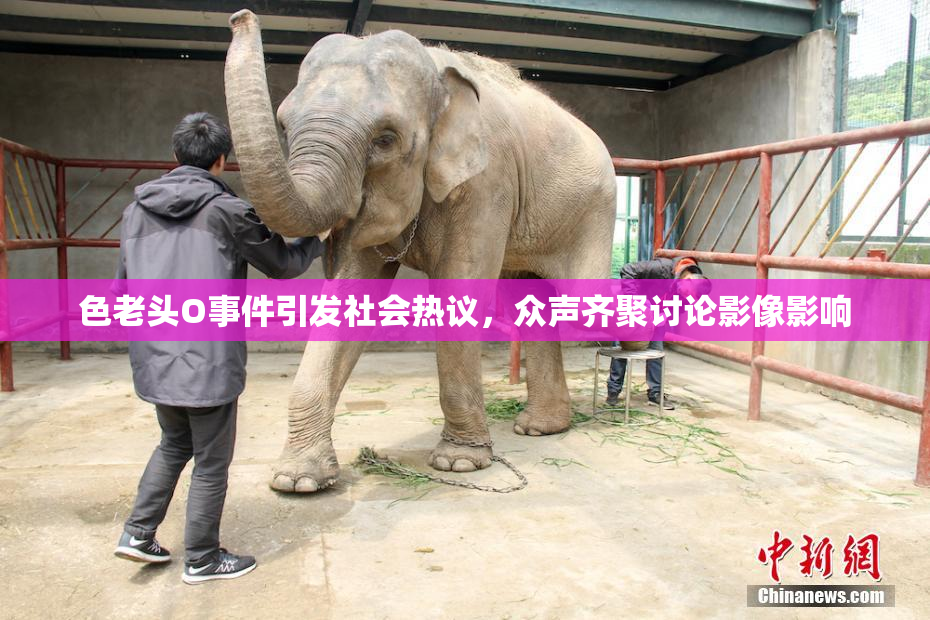 色老头O事件引发社会热议，众声齐聚讨论影像影响