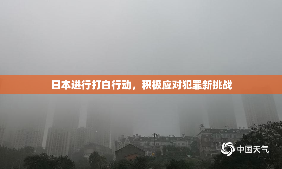 日本进行打白行动，积极应对犯罪新挑战