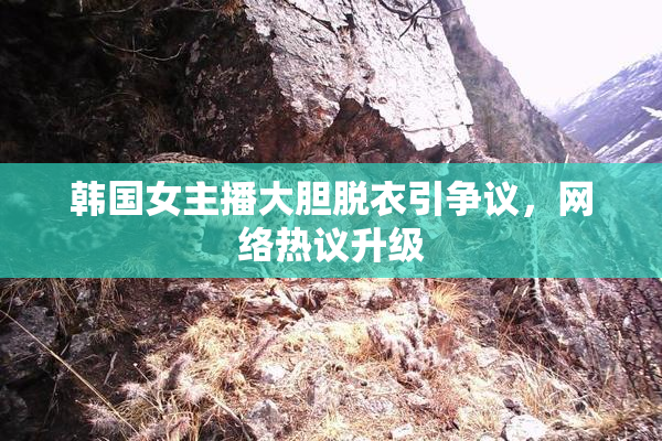 韩国女主播大胆脱衣引争议，网络热议升级