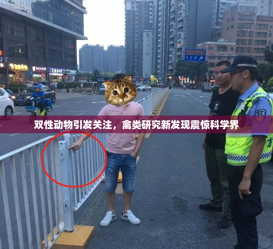 双性动物引发关注，禽类研究新发现震惊科学界