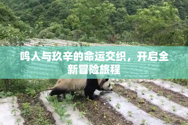 鸣人与玖辛的命运交织，开启全新冒险旅程