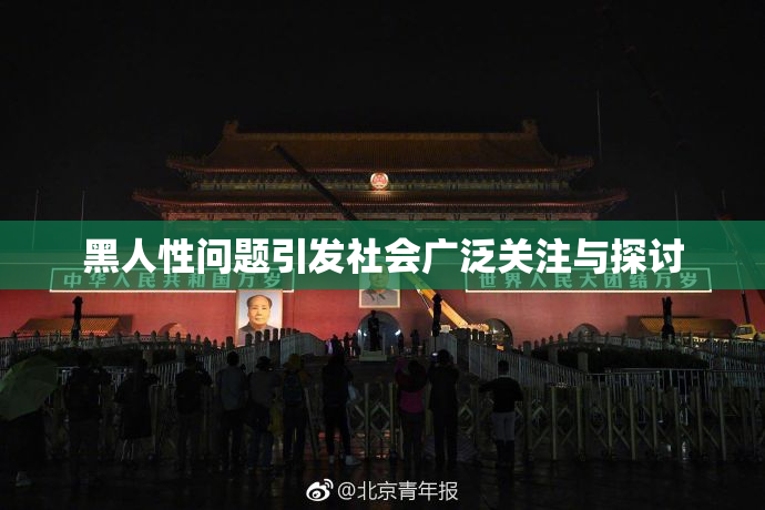 黑人性问题引发社会广泛关注与探讨
