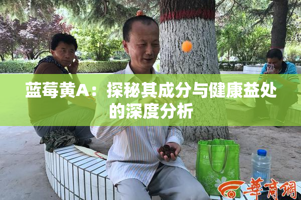 蓝莓黄A：探秘其成分与健康益处的深度分析