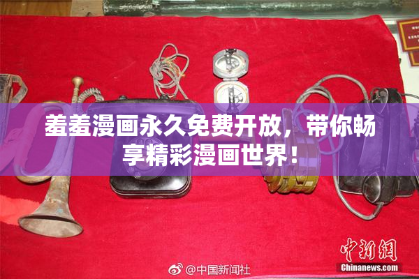 羞羞漫画永久免费开放，带你畅享精彩漫画世界！