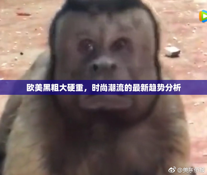 欧美黑粗大硬重，时尚潮流的最新趋势分析