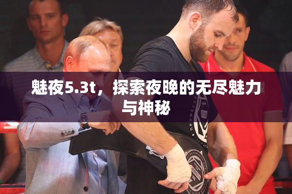 魅夜5.3t，探索夜晚的无尽魅力与神秘