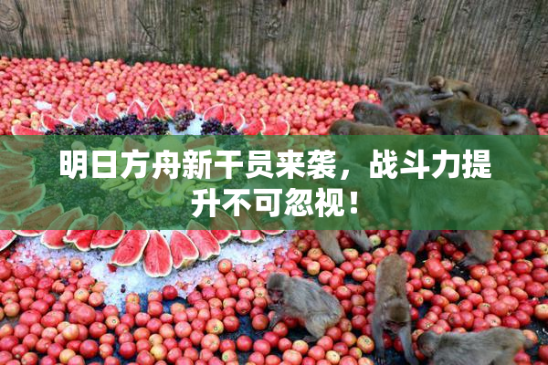 明日方舟新干员来袭，战斗力提升不可忽视！