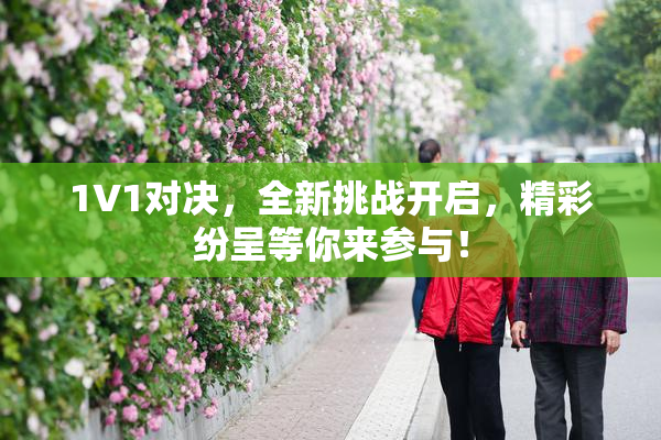 1V1对决，全新挑战开启，精彩纷呈等你来参与！