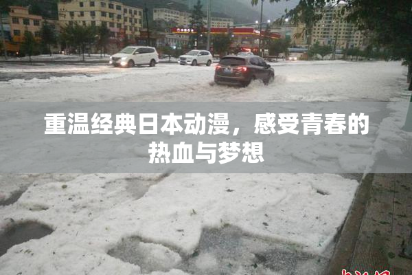 重温经典日本动漫，感受青春的热血与梦想