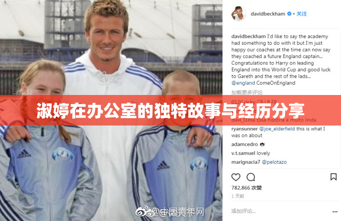 淑婷在办公室的独特故事与经历分享