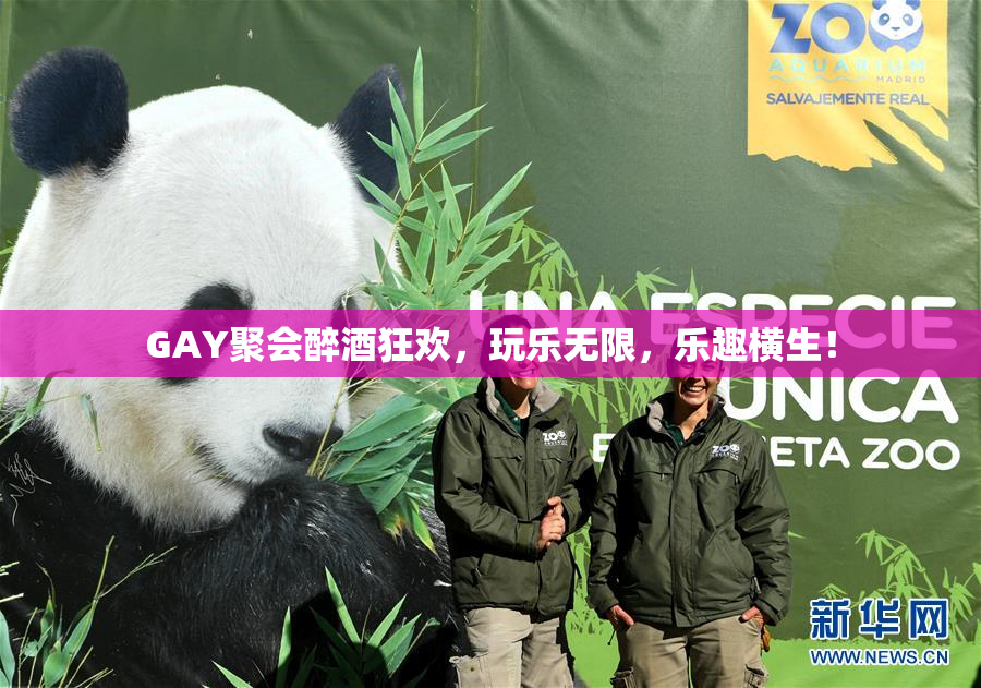 GAY聚会醉酒狂欢，玩乐无限，乐趣横生！