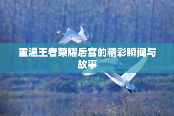 重温王者荣耀后宫的精彩瞬间与故事