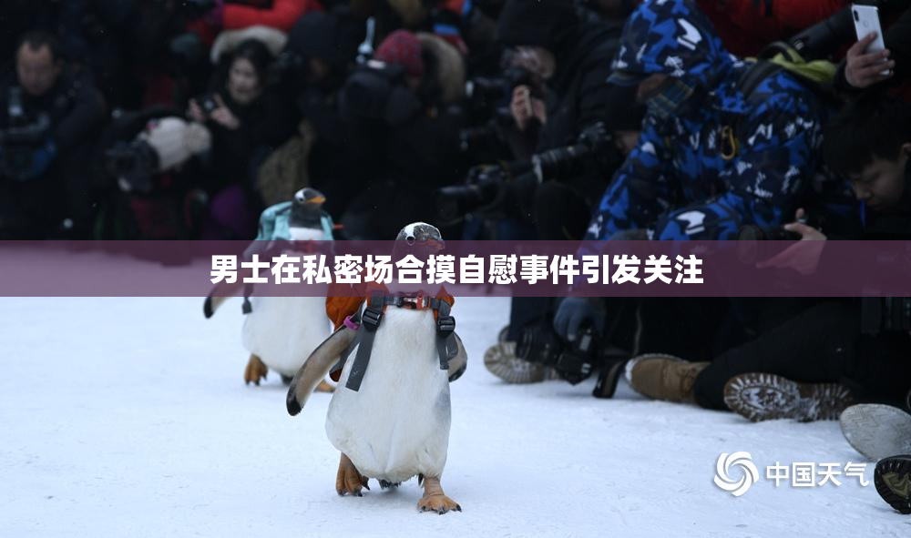 男士在私密场合摸自慰事件引发关注