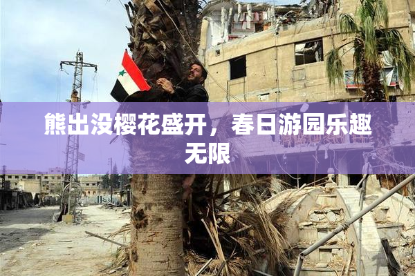 熊出没樱花盛开，春日游园乐趣无限