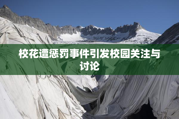 校花遭惩罚事件引发校园关注与讨论