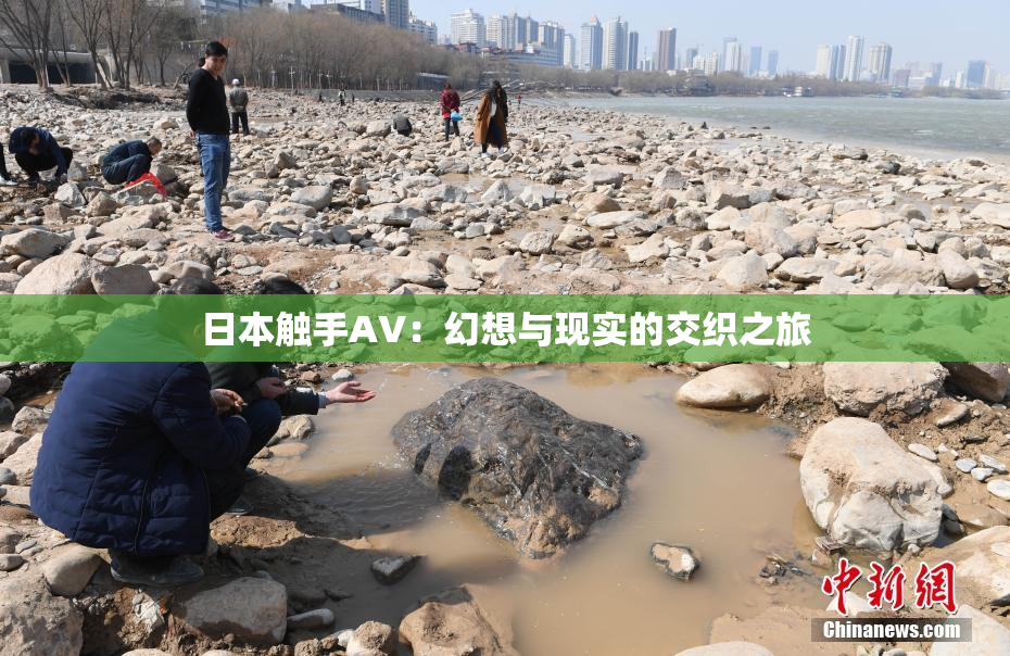 日本触手AV：幻想与现实的交织之旅
