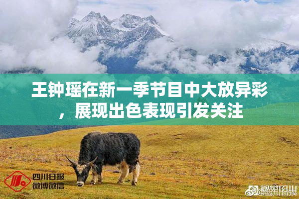 王钟瑶在新一季节目中大放异彩，展现出色表现引发关注