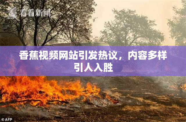 香蕉视频网站引发热议，内容多样引人入胜