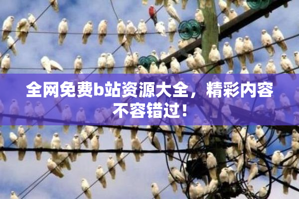 全网免费b站资源大全，精彩内容不容错过！