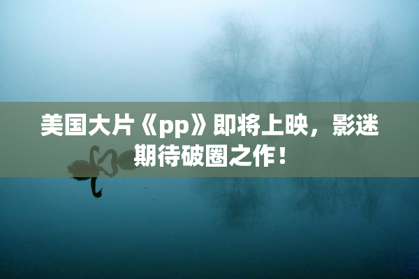 美国大片《pp》即将上映，影迷期待破圈之作！