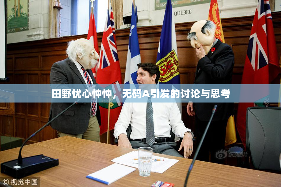 田野忧心忡忡，无码A引发的讨论与思考
