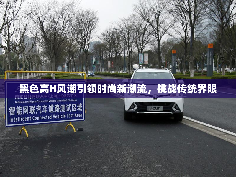 黑色高H风潮引领时尚新潮流，挑战传统界限
