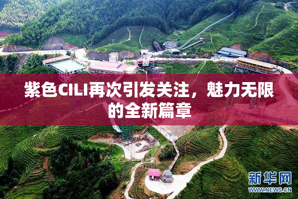 紫色CILI再次引发关注，魅力无限的全新篇章