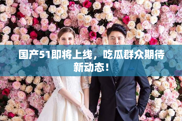 国产51即将上线，吃瓜群众期待新动态！