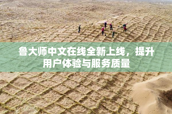 鲁大师中文在线全新上线，提升用户体验与服务质量