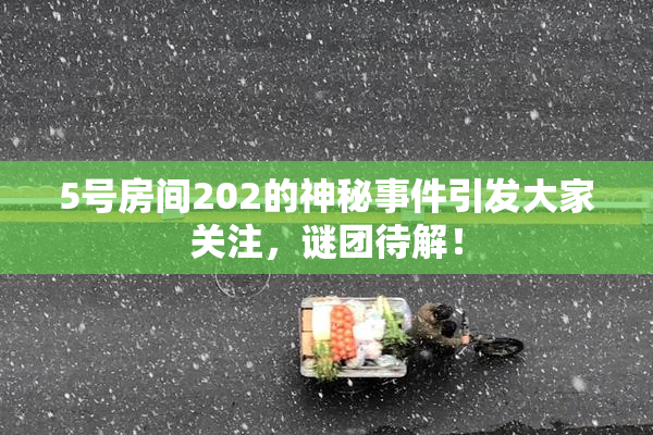 5号房间202的神秘事件引发大家关注，谜团待解！
