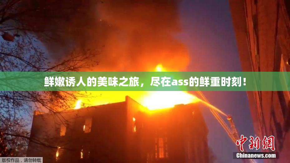 鲜嫩诱人的美味之旅，尽在ass的鲜重时刻！
