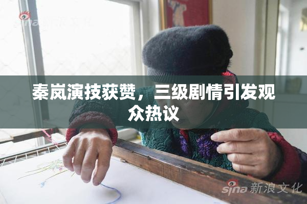 秦岚演技获赞，三级剧情引发观众热议