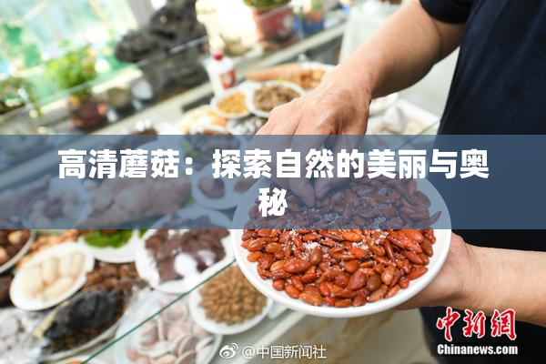 高清蘑菇：探索自然的美丽与奥秘