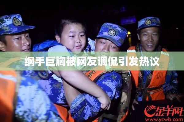 纲手巨胸被网友调侃引发热议