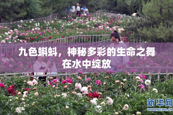 九色蝌蚪，神秘多彩的生命之舞在水中绽放