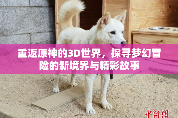 重返原神的3D世界，探寻梦幻冒险的新境界与精彩故事