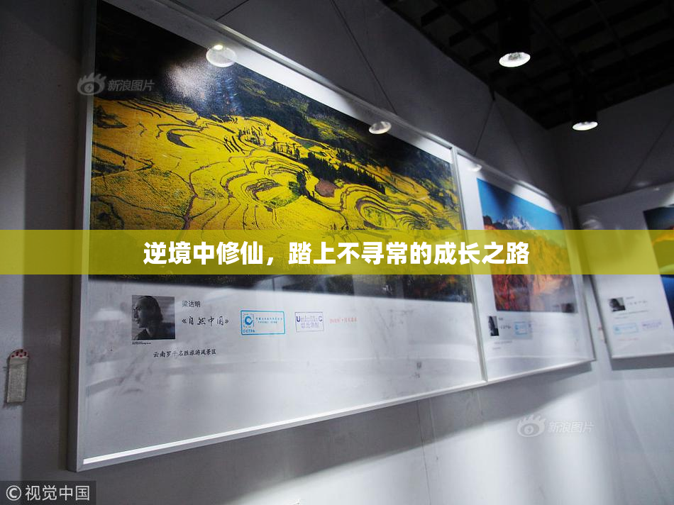 逆境中修仙，踏上不寻常的成长之路