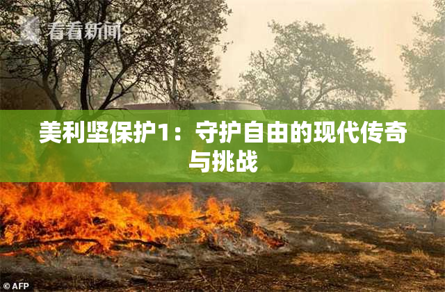 美利坚保护1：守护自由的现代传奇与挑战