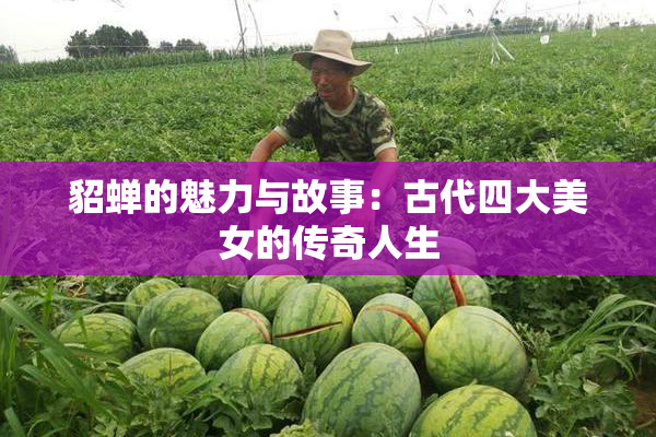 貂蝉的魅力与故事：古代四大美女的传奇人生